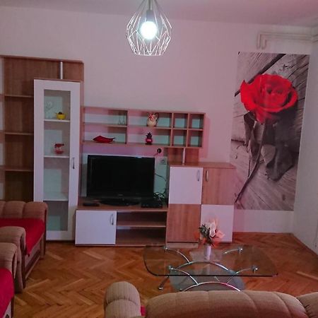 Apartments Vesna Kampor Esterno foto